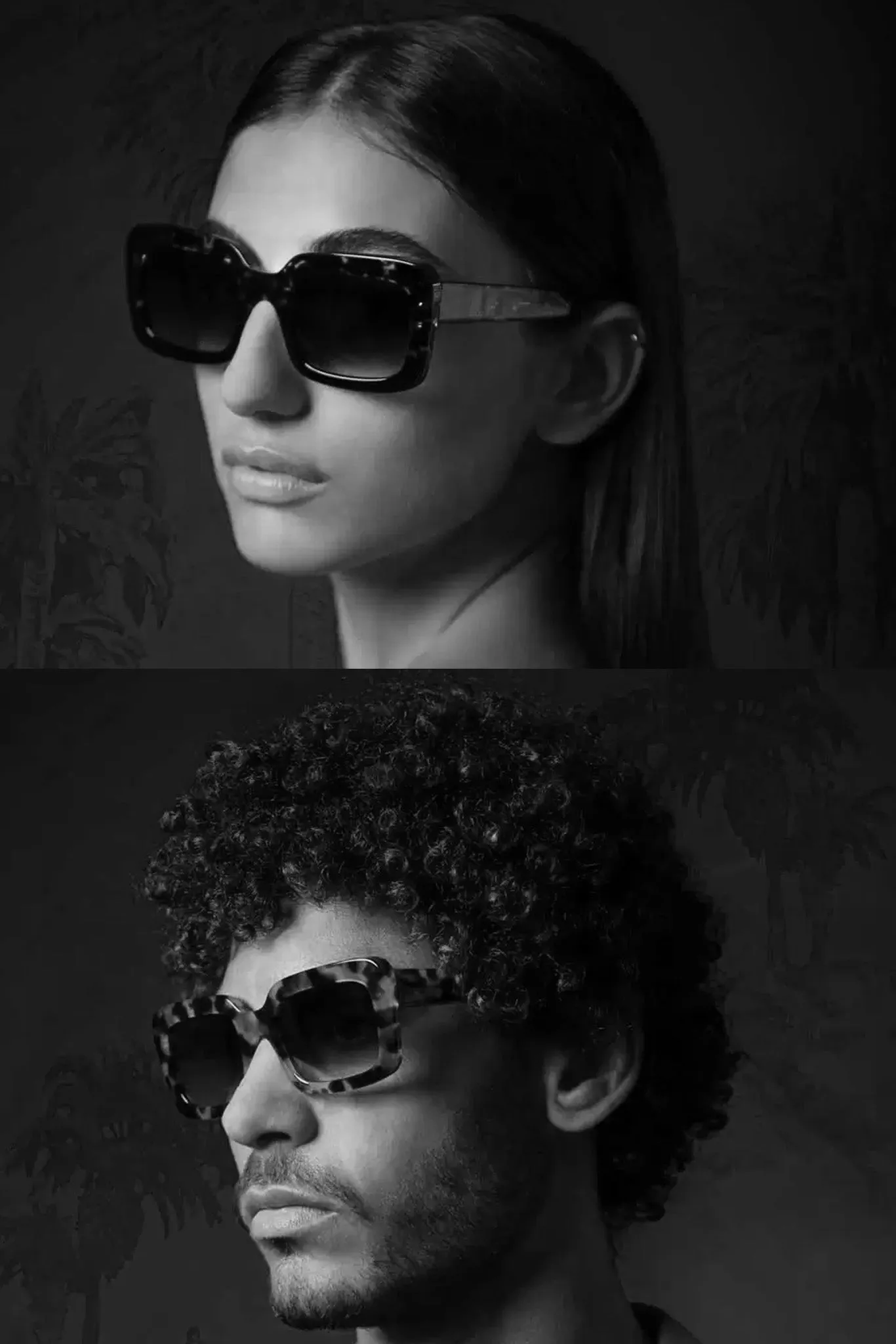 Acetate Palma C01 Sunglasses