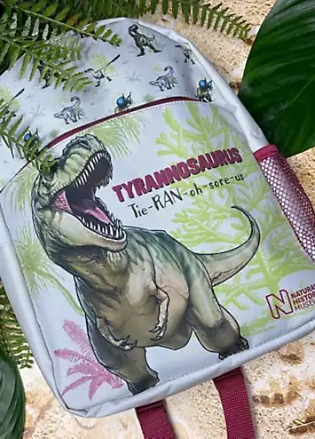 National History Museum Dinosaur Backpack & Trainers Bag | Kaleidoscope