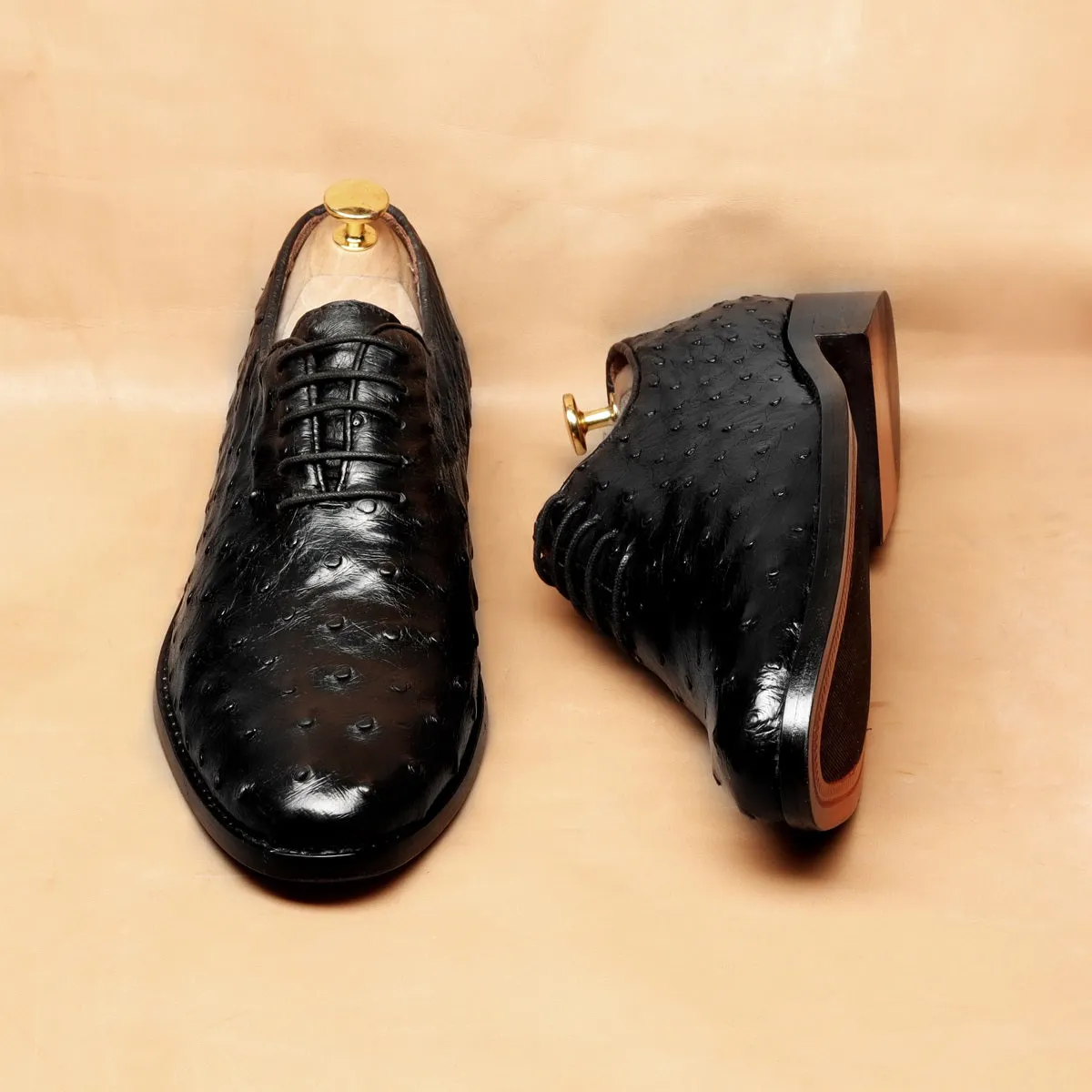 Oxford Leather Lace-Up Shoes in Black Real Ostrich Whole Cut/One-Piece