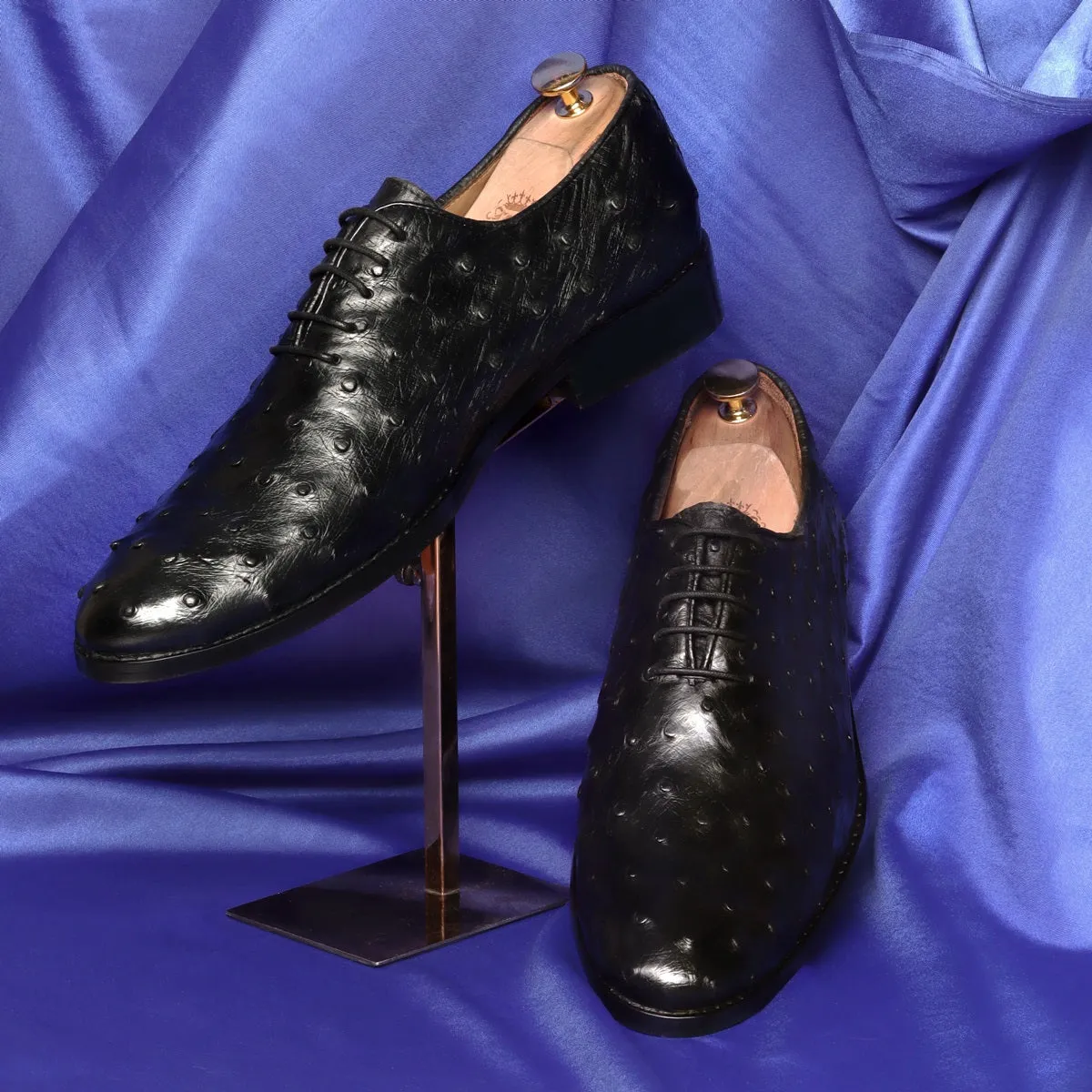 Oxford Leather Lace-Up Shoes in Black Real Ostrich Whole Cut/One-Piece