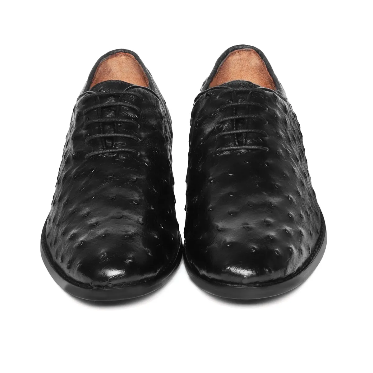 Oxford Leather Lace-Up Shoes in Black Real Ostrich Whole Cut/One-Piece