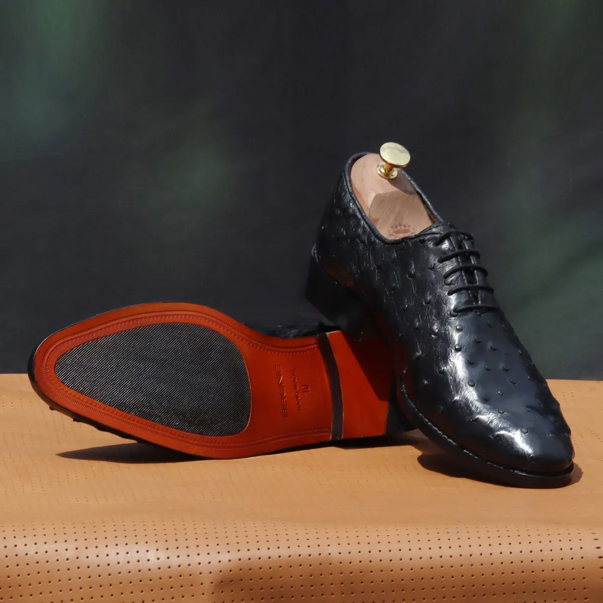 Oxford Leather Lace-Up Shoes in Black Real Ostrich Whole Cut/One-Piece