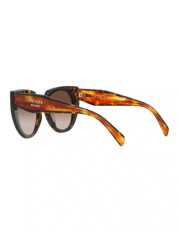 PR 14WS Tortoise Sunglasses