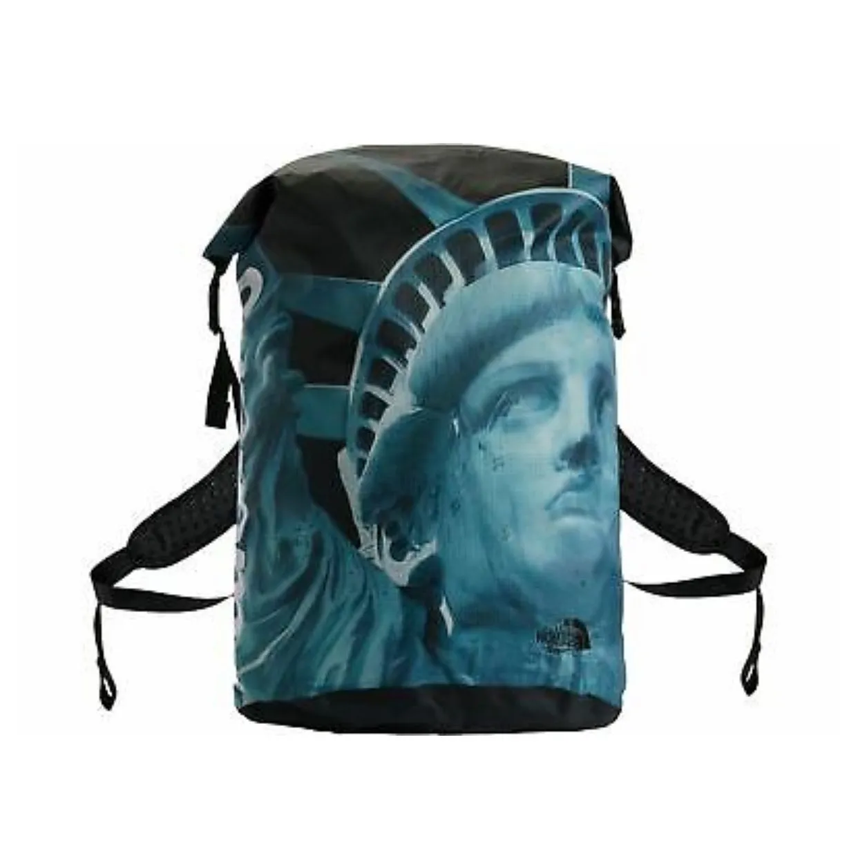 Supreme/The North Face Statue of Liberty Waterproof Backpack